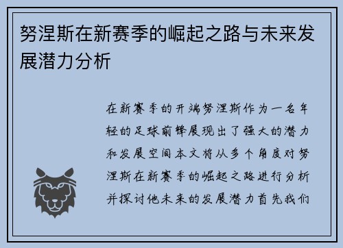 努涅斯在新赛季的崛起之路与未来发展潜力分析